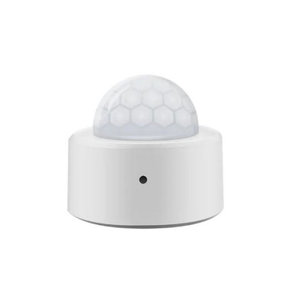 Picture of Passive Infrared Sensor for Human Motion, 10m, 120°