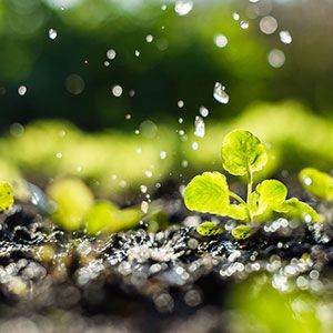 Environmental sensor of agricultural irrigation