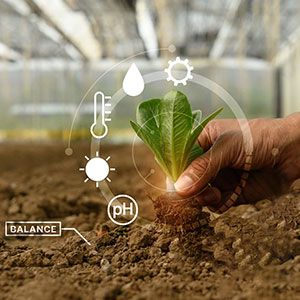 Moisture sensor of greenhouse control