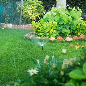 Moisture sensor of lawn management