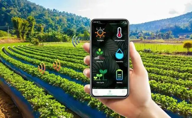 Smart agriculture and soil environment management