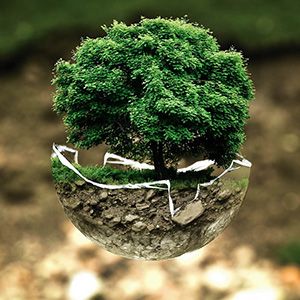 Soil moisture sensor of ecological environment