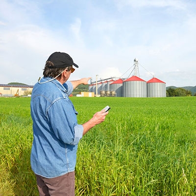 Agricultural ammonia detection