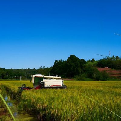 Agriculture and forestry