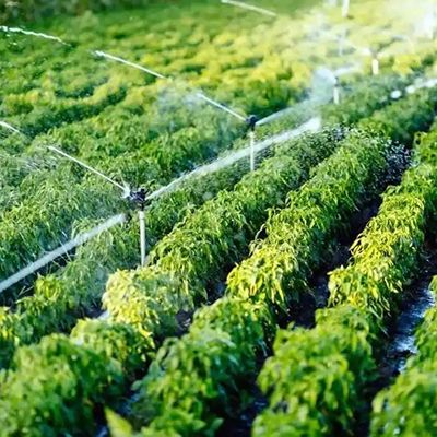 Agriculture and irrigation