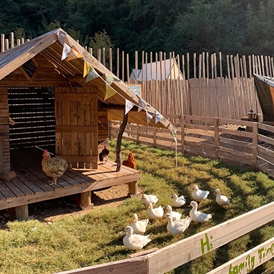 Ambient Temperature sensor for farm