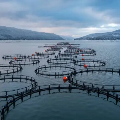Aquaculture