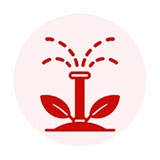 Automatic irrigation