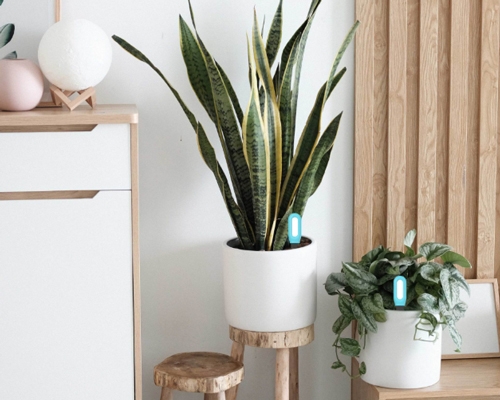 Bluetooth soil moisture sensor details