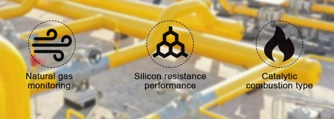 Catalytic gas sensor feature