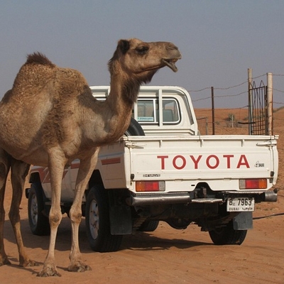 CKP sensor for toyota