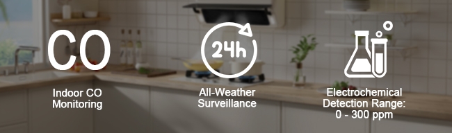 CO detection sensor feature