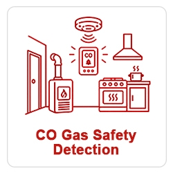 CO gas safety detection