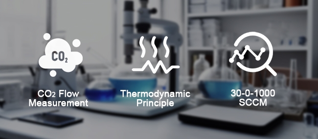 CO2 flow sensor feature