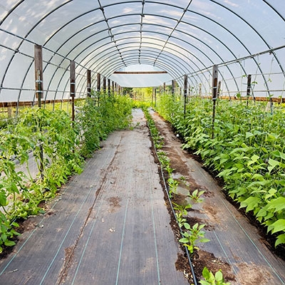 CO2 transmitter of agricultural greenhouse