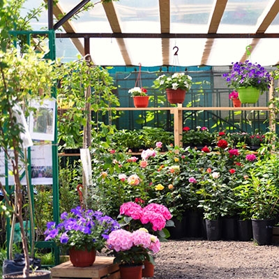 CO2 transmitter of flower cultivation