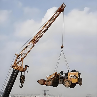 Crane scales