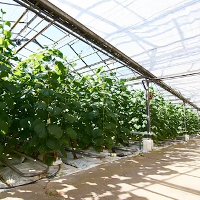 Crop growth environment monitoring