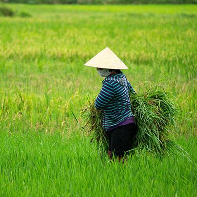 Digital soil moisture sensor for farmland