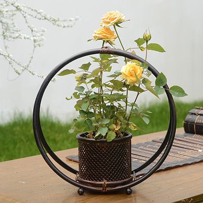 Digital soil moisture sensor for potted plants