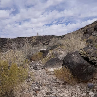 Ecological environment research