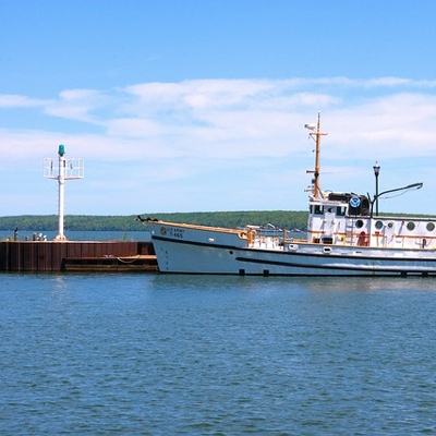 Environmental & ecological research