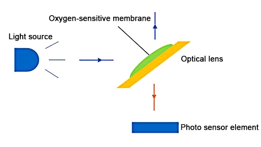 Fluorescent oxygen sensor working principle