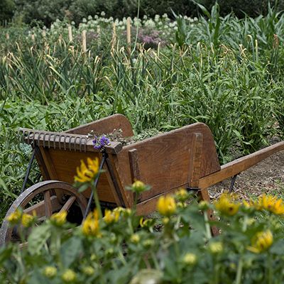 Garden soil moisture sensor for gardening
