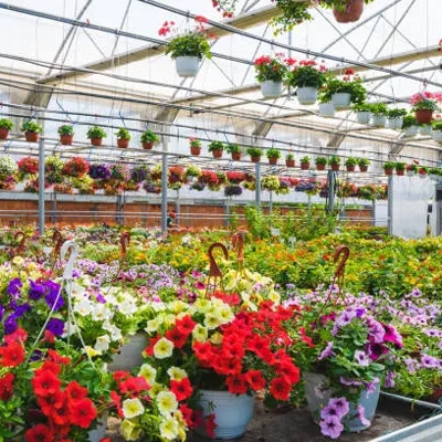 Greenhouses and nurseries