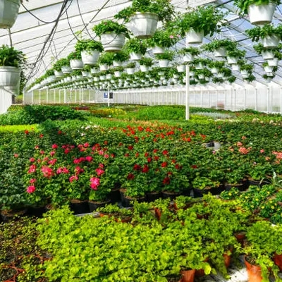 Humidity sensor with display greenhouses