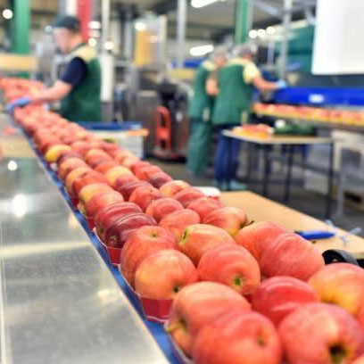 Industrial co2 sensor of agricultural production