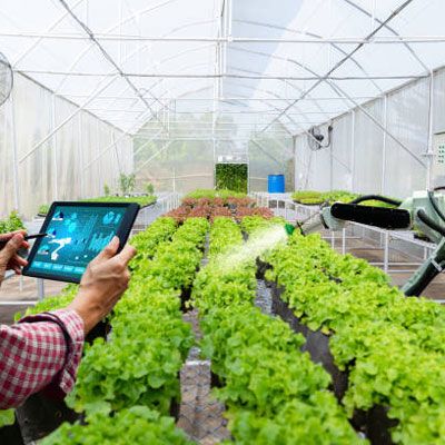 Intelligent agricultural greenhouse