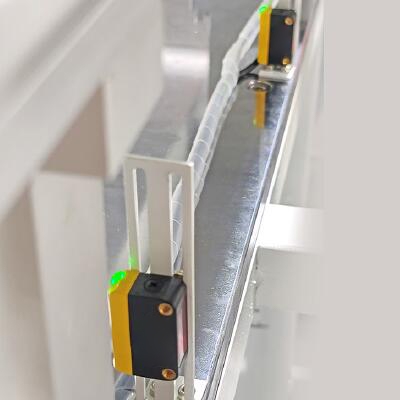 Laser photoelectric sensor for conveyor line inspection