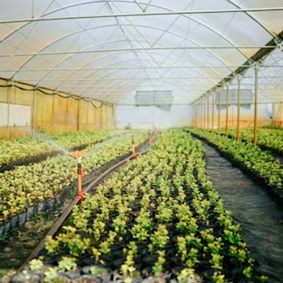 Leaf humidity sensor for greenhouses