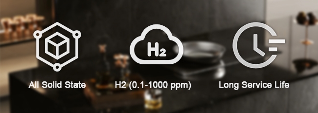MEMS gas sensor feature