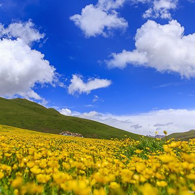 Meteorological and environmental protection