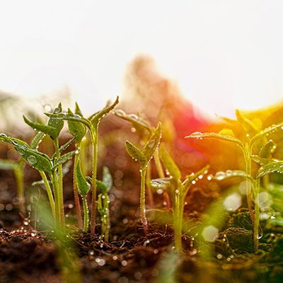 Multi depth soil moisture sensor for soil moisture