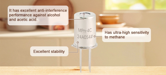 Natural gas sensor feature