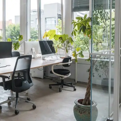 Office and workspace plants
