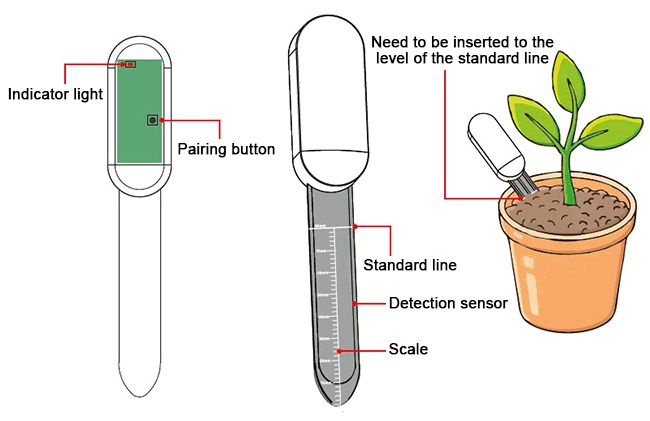 Outdoor soil moisture sensor detail