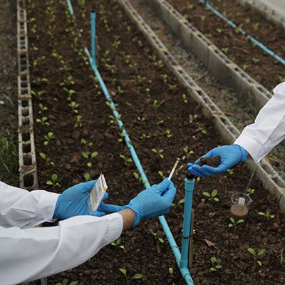 Outdoor soil moisture sensor for greenhouse soil quality