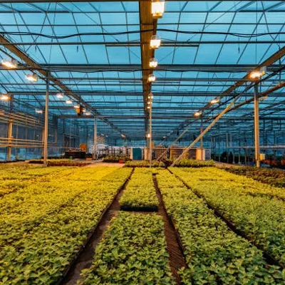 Outdoor temperature humidity sensor greenhouse climate