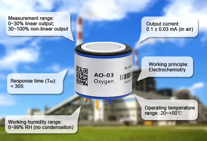 Oxygen concentration sensor detail