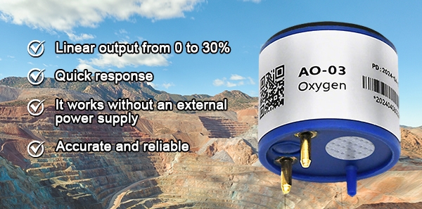 Oxygen concentration sensor feature