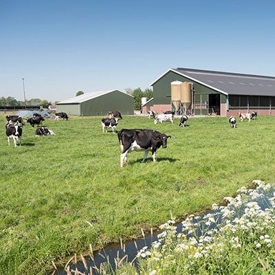 Oxygen transmitter of agricultural and livestock farm