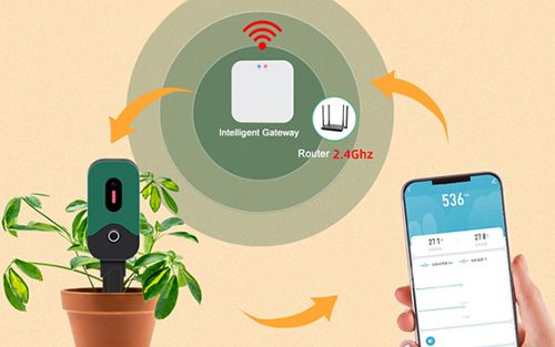 Plant soil moisture sensor app use