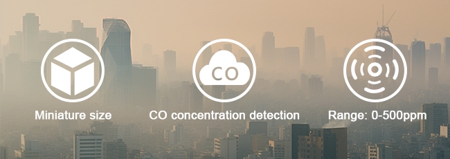 Portable co gas sensor feature