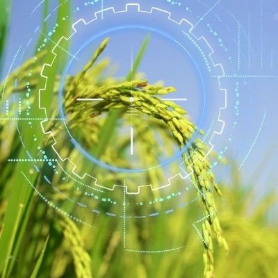 Smart agriculture