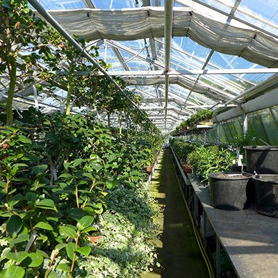 Smart soil moisture sensor for greenhouse agriculture