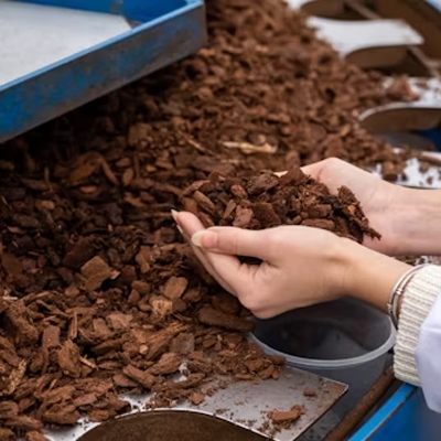 Soil heat transfer processes